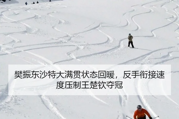 樊振东沙特大满贯状态回暖，反手衔接速度压制王楚钦夺冠