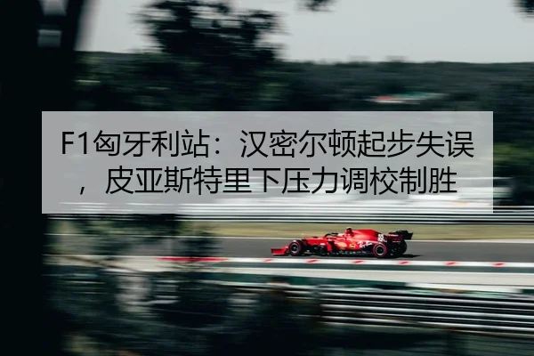 xiong-ya-li-zhan-han-mi-er-dun-qi-bu-shi-wu-pi-ya-si-te-li-xia-ya-li-diao-xiao-zhi-sheng-2-435.jpg