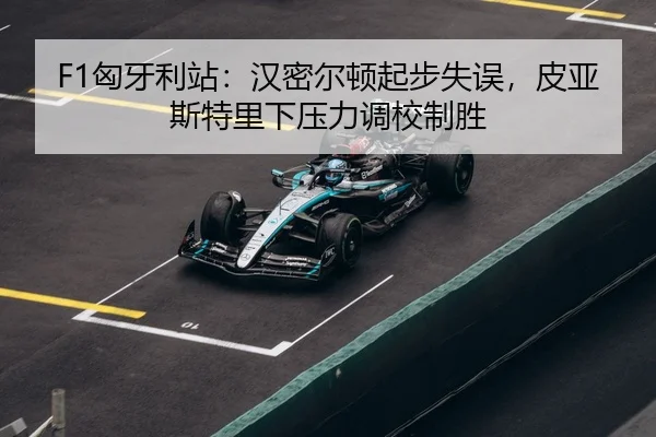 xiong-ya-li-zhan-han-mi-er-dun-qi-bu-shi-wu-pi-ya-si-te-li-xia-ya-li-diao-xiao-zhi-sheng-3-845.jpg