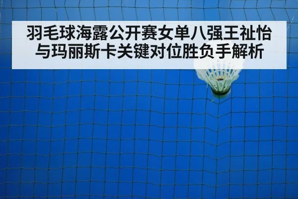 badminton net shot
